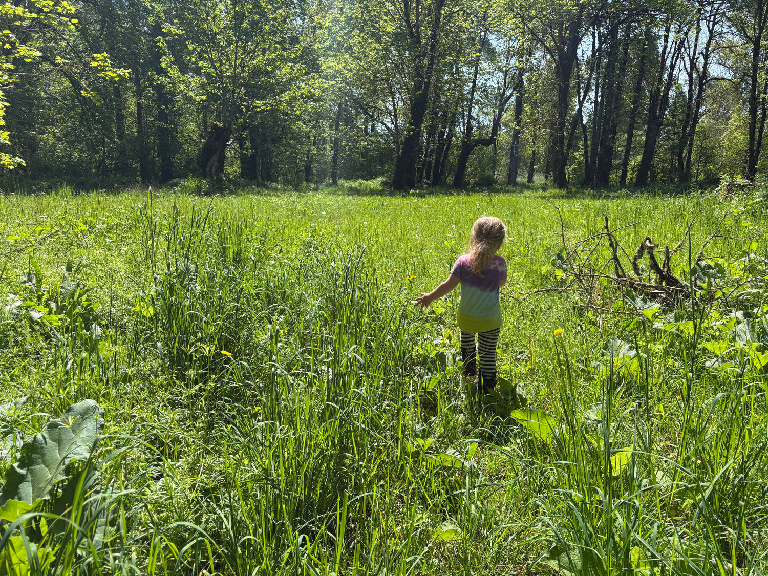 Foraging and harvesting tools!